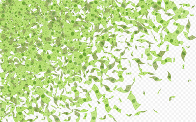 Swirl Confetti Vector Transparent Background.