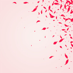 Red Floral Vector Pink Background. Falling Cherry