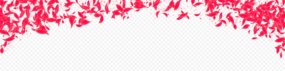 Delicate Peach Vector Transparent Panoramic