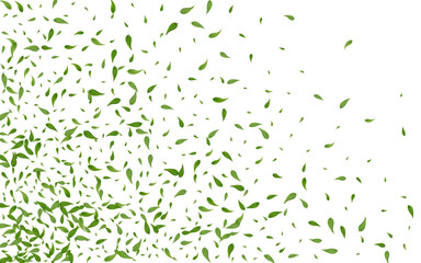 Green Leaf Blur Vector White Background Template.