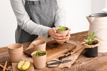 Woman holding peat pot with green seedling at table on white background, closeup