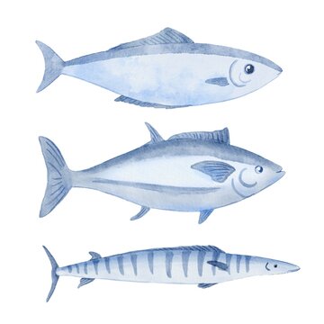 Atlantic ocean fish set. Watercolor blue illustration isolated on white