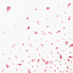 Red Blossom Vector Transparent Background. Cherry