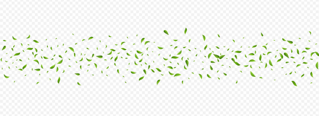 Lime Greens Spring Vector Panoramic Transparent - obrazy, fototapety, plakaty