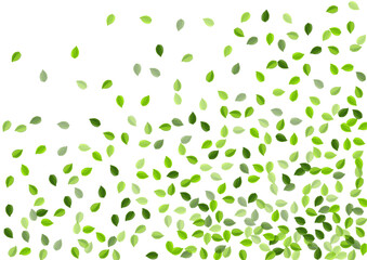 Swamp Greens Falling Vector Pattern. Realistic