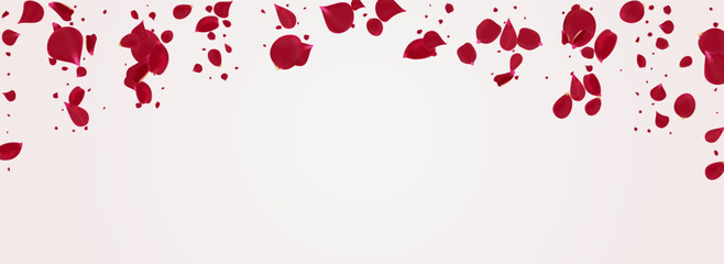 Red Flower Summer Vector Panoramic White