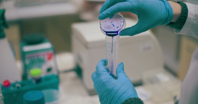 Scientist Working in Medical Laboratory Cancer Research Covic 19 Pandemic