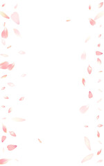 Transparent Rose Petal Vector White Background.