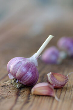 Organic garlic whole and cloves on the wooden background
