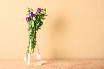 Glass vase with eustoma flowers on table near beige wall