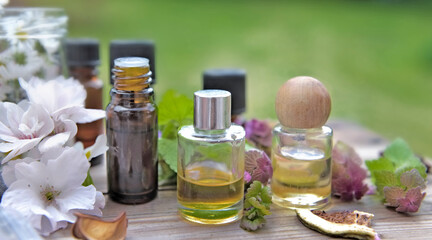 bottles of essential oil with plant and flower  on a wooden table in garden
