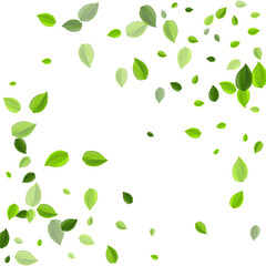 Lime Leaves Abstract Vector Background. Blur Leaf