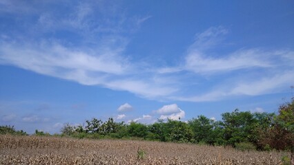 Fototapeta na wymiar landscape with sky