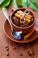 anise and cinnamon sticks