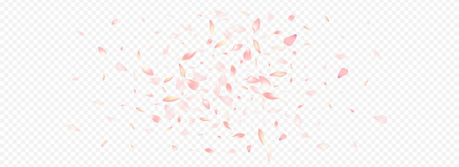 White Peach Vector Panoramic Transparent