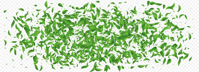 Swamp Leaves Forest Vector Panoramic Transparent