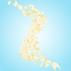 Delicate Flower Falling Vector Blue Background.