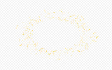 White Flower Beauty Vector Transparent