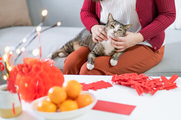 Asian Woman decorated house with Cat for Chinese New Year Celebrations at home. cute domestic shorthair cat traditional pendant to the Chinese Lunar New Year for good luck. Chinese word means blessing