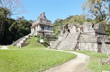 Fototapeta na wymiar The stunning jungle ruins of Chiapas, Mexico was one of the greatest cities of the ancient Mayan civilization
