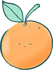 illustration of orange,pencil color