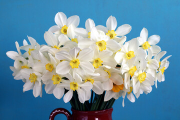 A bouquet of white daffodils in close-up as a background.