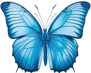 Blue butterfly art drawn (Generative AI)