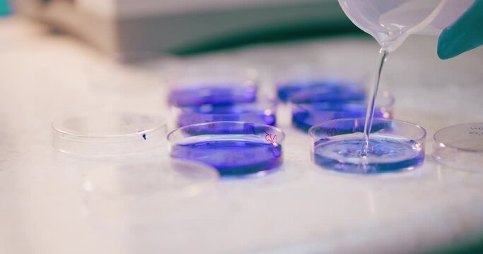 Scientist Working in Medical Laboratory Cancer Research Covic 19 Pandemic