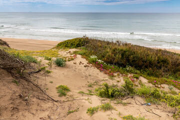 Le dune di Sabaudia (Latina)