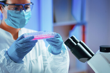 Stem cell researcher working in laboratory - obrazy, fototapety, plakaty