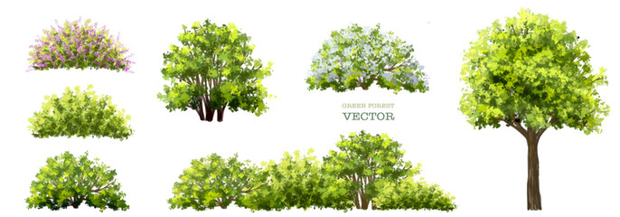 Vector of green grass or shrub isolated on white background,tree elevation for landscape concept,environment panorama scene,eco design,meadow for spring