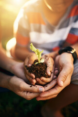 Hands of family, soil or plant in garden for sustainability, agriculture care or farming...