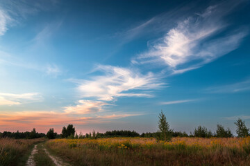 Fototapeta na wymiar Rural road in green grass and orange summer sunset.