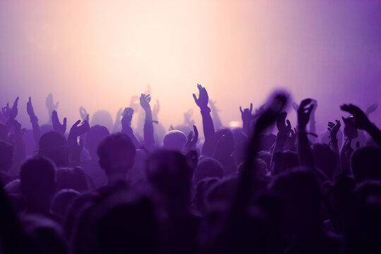 Crowd of people partying at live concert