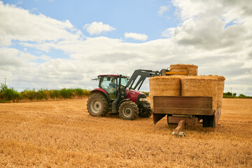 Hay, agriculture and a tractor on a farm in the countryside for sustainability outdoor during the harvest season. Nature, sky and clouds with an agricultural vehicle for harvesting on an open field © A.S./peopleimages.com