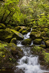 Water in Madeira Island Funchal Portugal