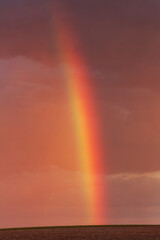 Obraz premium Rainbow in alentejo Portugal agriculture