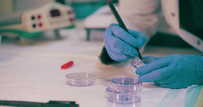 Scientist Working in Medical Laboratory Cancer Research Covic 19 Pandemic