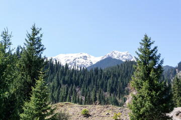 View of the mountain peaks, trees nearby, Kaindy lake, Kazakhstan