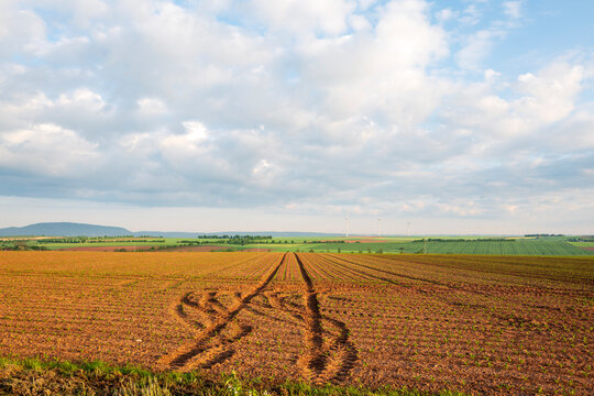 landscape with a field and traktor tracks