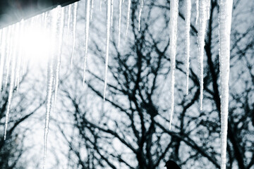 Icicles hanging from roof with sunflare.