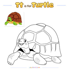 Coloring Page Turtle cartoon