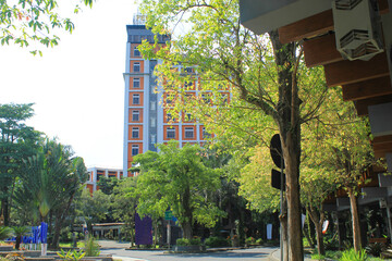 classic modern campus building or office with green concept planted trees. tall building or sky...