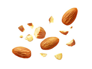 Almond nuts isolated on white background. Almond fly. Full depth of field. Close up view.