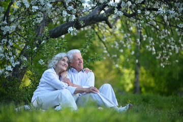 Naklejka na ściany i meble Senior couple sitting on the grass in the park
