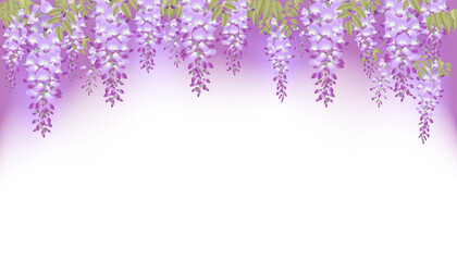 wisteria flower border