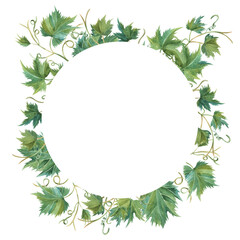 Grapevine leaf grapes wreath circle watercolor illustration hand painted. For invitation, packaging, cards, label