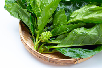 Noni or Morinda Citrifolia leaves in bamboo weave plate on white background.