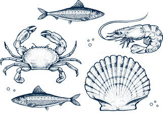 Seafood collection. Engraved vintage. Fish, seashell, crab, shrimp, herbs. Vector illustration. Sea restaurant set.  - obrazy, fototapety, plakaty