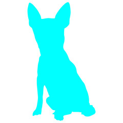 Blue Color Chihuahua Silhouette Graphic Design